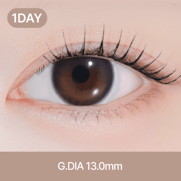 노이 라이트 [ 블랙 ] 원데이 10EA