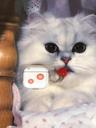make tomato ~ ( airpods, buds )