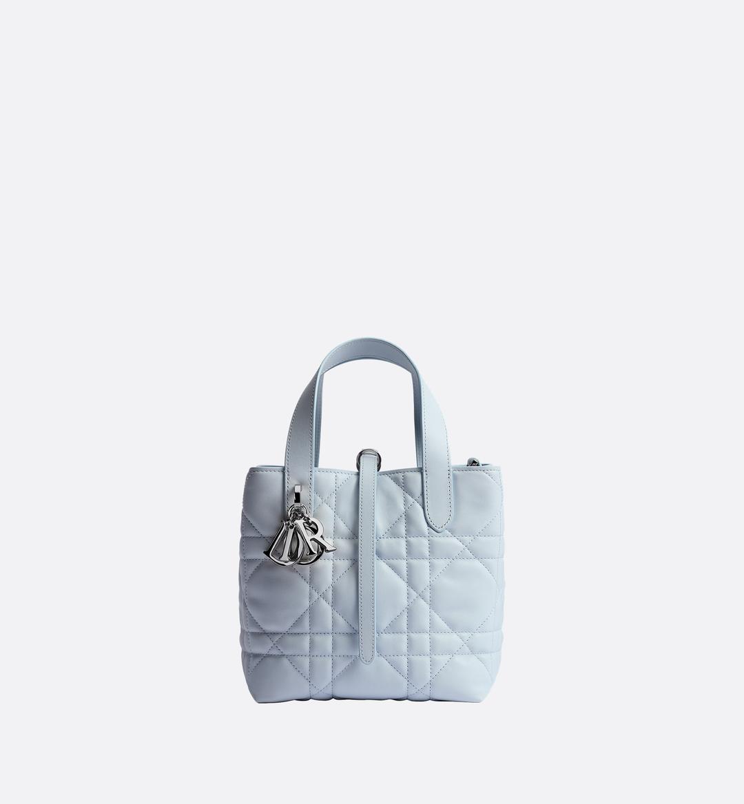 디올 뚜주흐 버티컬 토트백 스몰