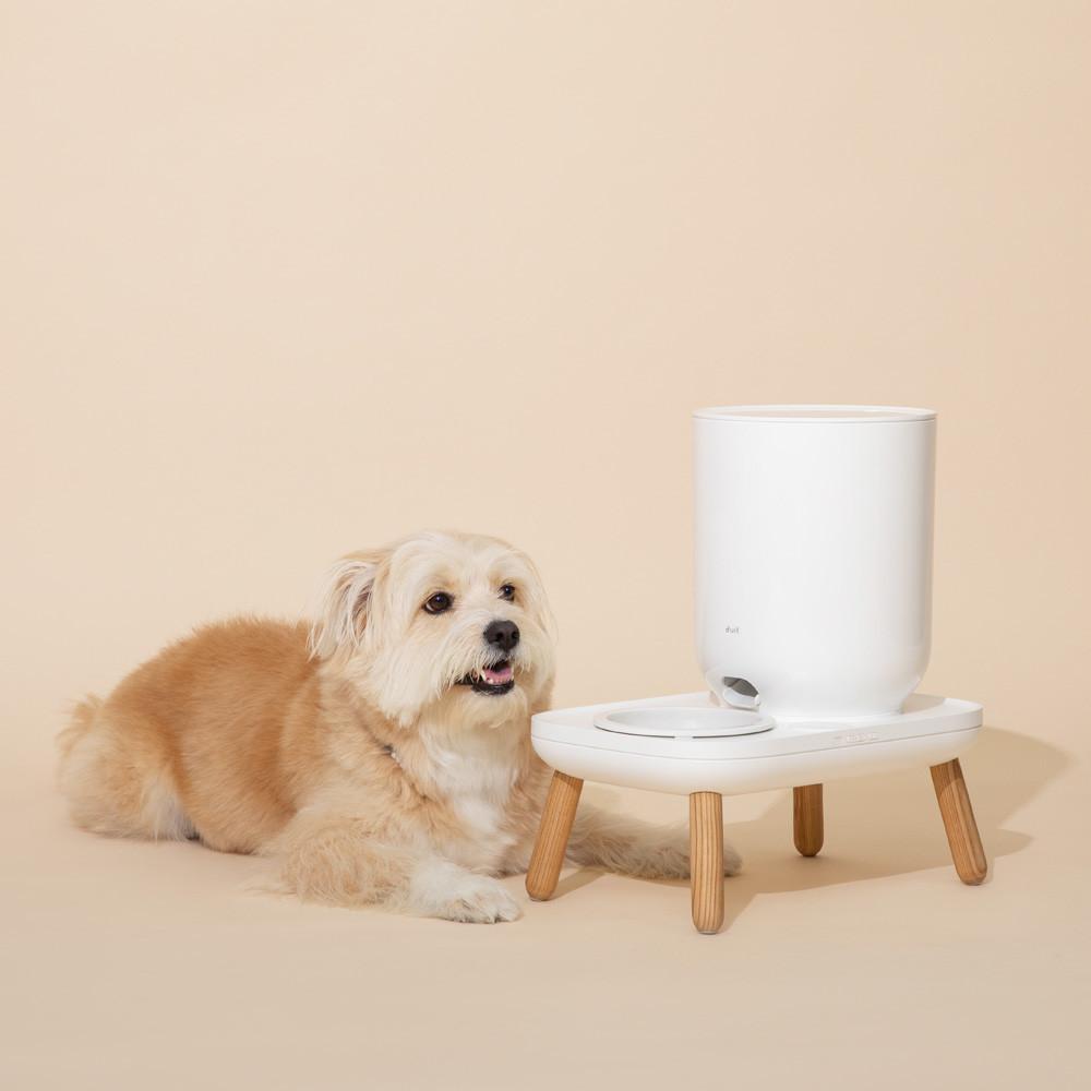 두잇 더테이블 화이트 자동급식기 : duit