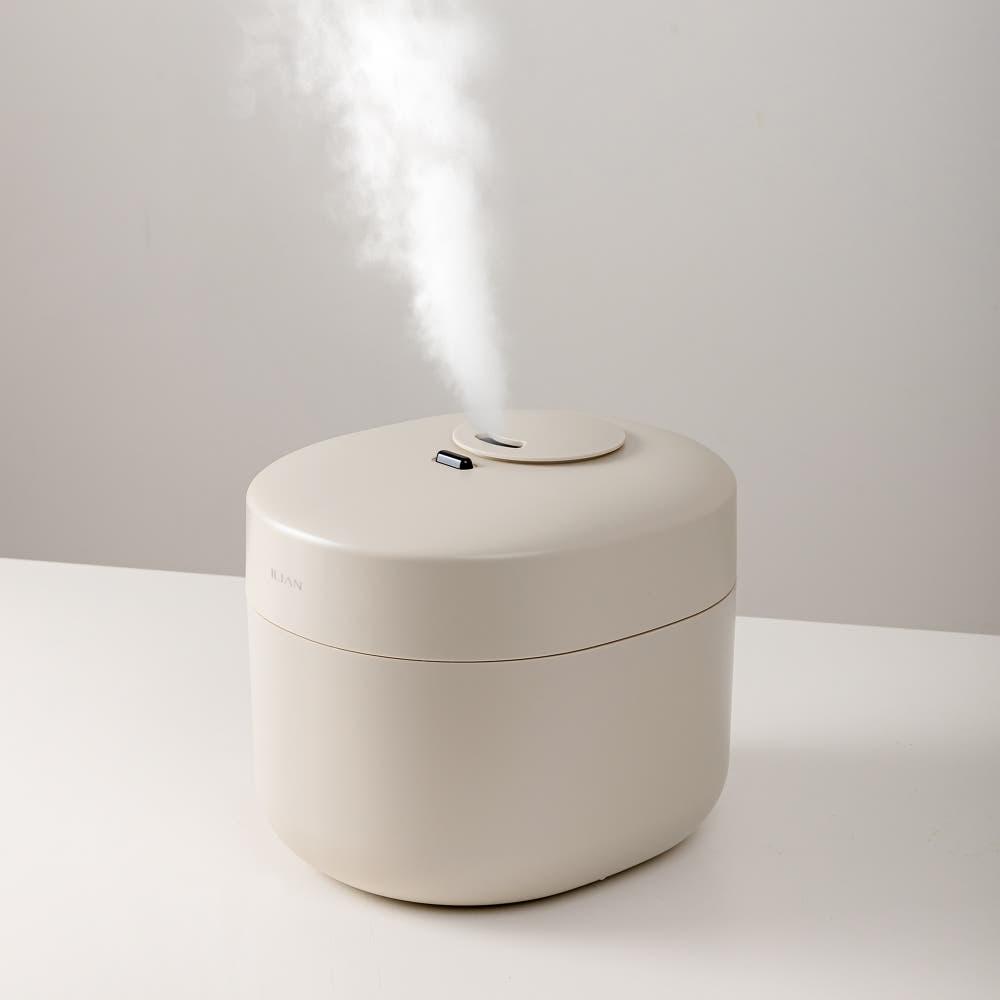 일리안 미스트볼 스텐 대용량 초음파 가습기 4리터