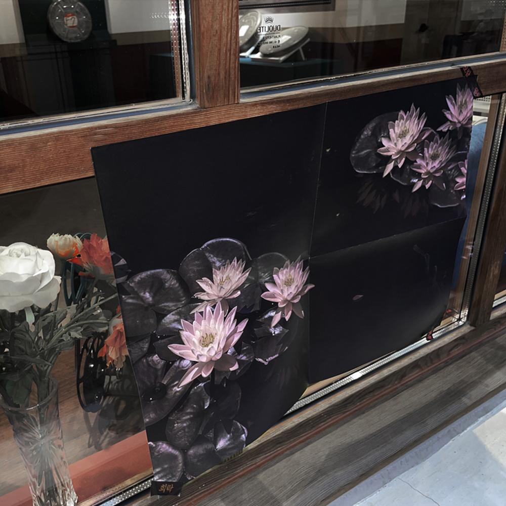 분홍 수련 B3 포스터