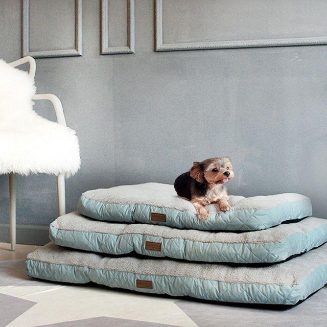 [주말특가]그레이독 비스킷 사각방석 S-L