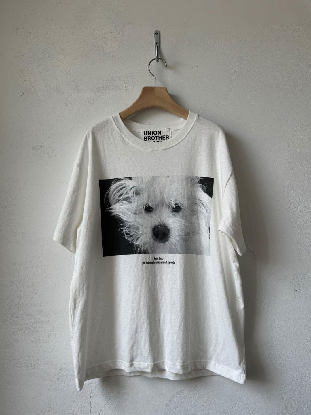 some day t-shirts (white)