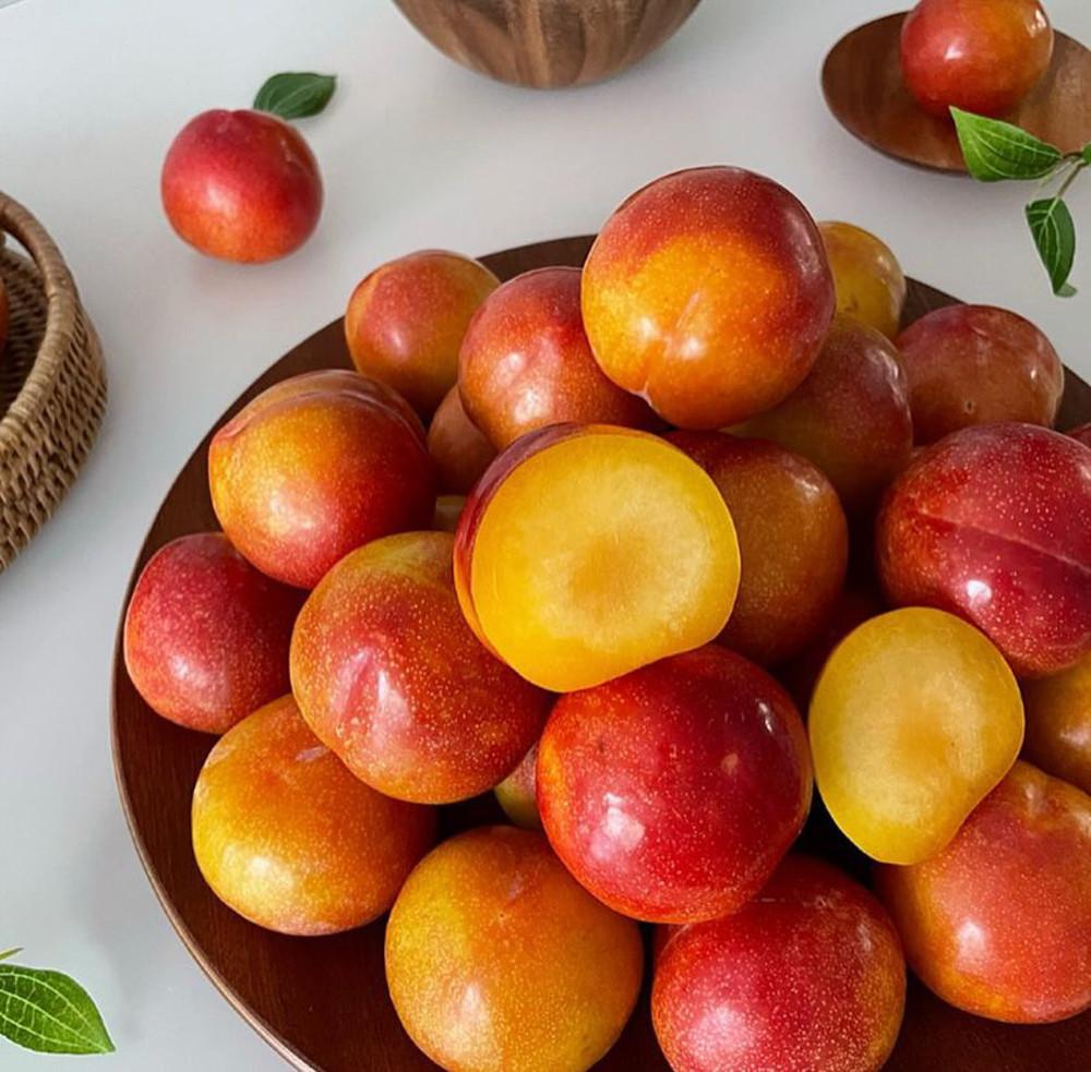 [도시농장×yeon table] 국내산 새콤 달콤 쫀득한 추희자두 공동구매 OPEN!