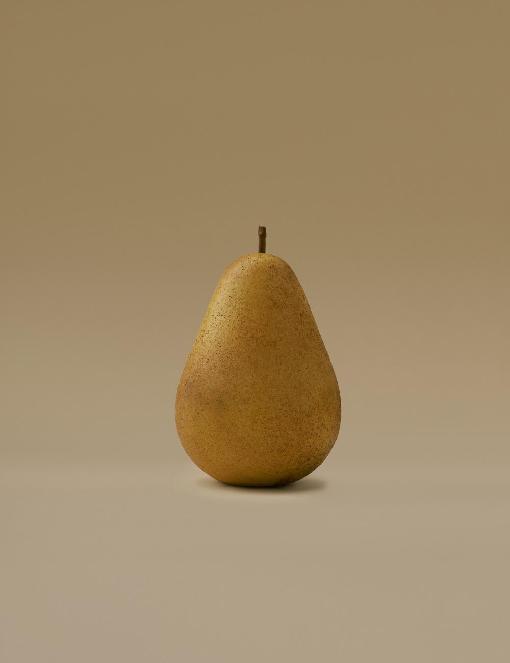 VINTAGE PEAR | 빈티지 서양배