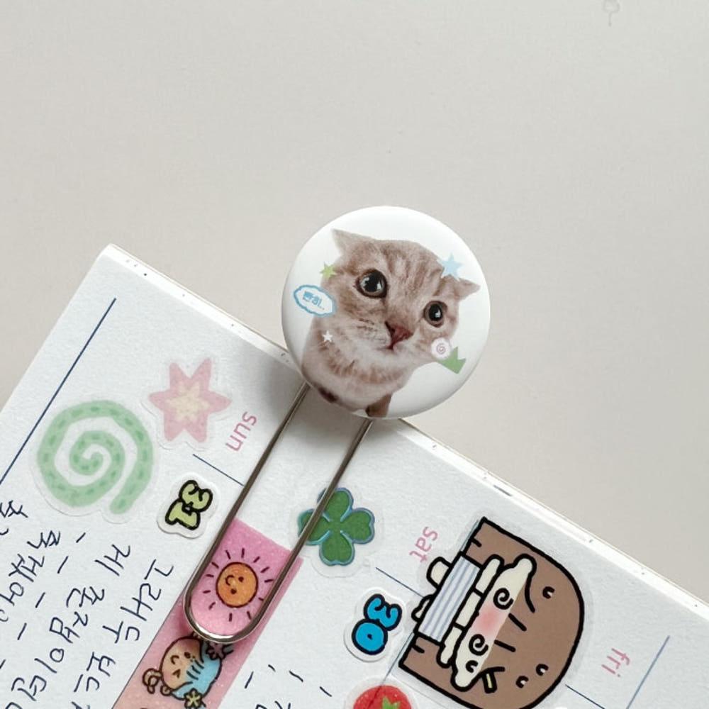 [A.Bubble-Crush!⋆어버블크러쉬] 고양이 클립