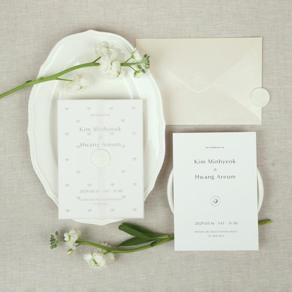 쉘 럭셔리 세트 (100set)