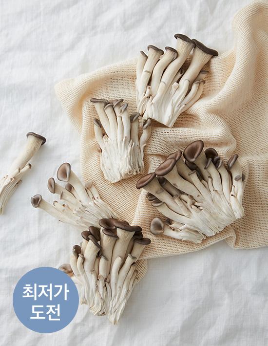 참타리 버섯 200g