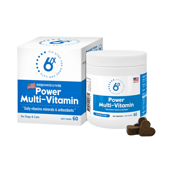 식스스텝 파워 멀티비타민 츄어블 60정