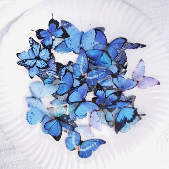 [2세트최저가]빈티지다꾸 감성스티커팩