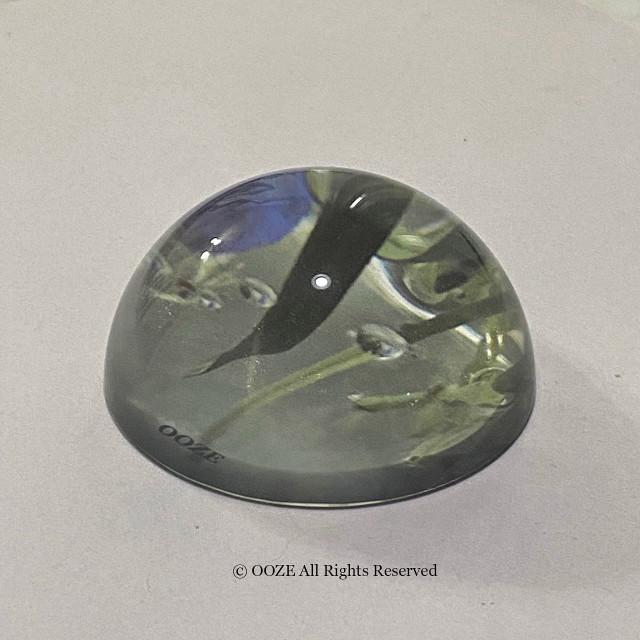 OOZE 유리 문진, 식물 (crystal dome paperweight)