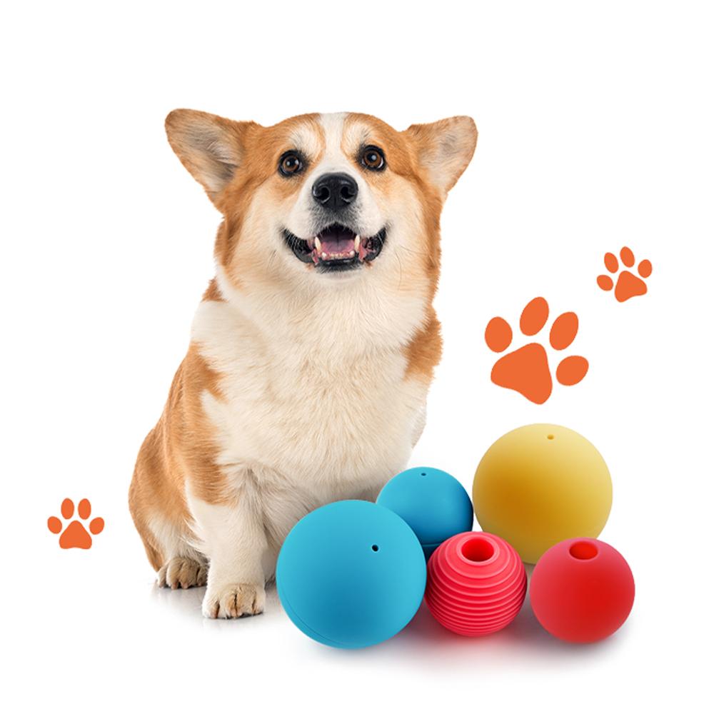 [비밀쿠폰]LG U+ 펫토이볼 강아지간식장난감 노즈워크 훈련 놀이공