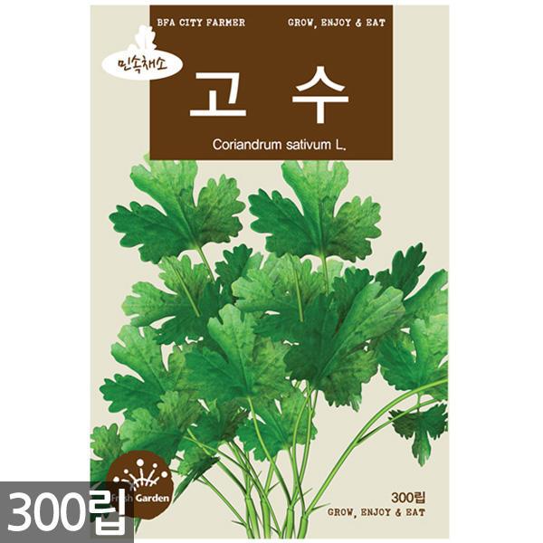 고수 씨앗 300립 - 고수씨앗 고수씨 빈대풀 미나리 채소씨앗 채소씨 쌈채소씨앗 순무 겨자 로메인 야채 채