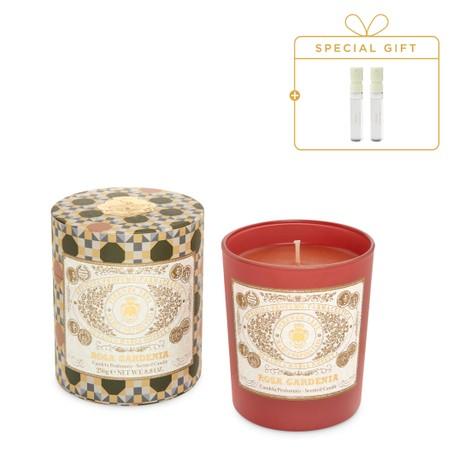 [요정PICK]칸델라 프로퓨마타 8종 택1[+EDC 바이알 4ML]