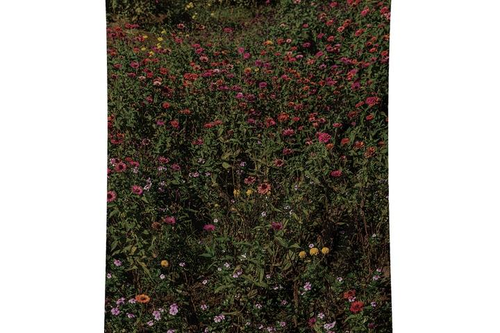 95x145cm 테라스 쉬폰 패브릭 포스터 원룸 창문 자연 풍경 인테리어 가리개 커튼