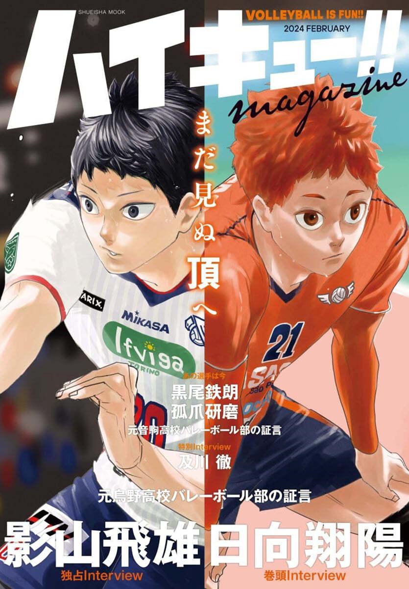 ハイキュ-!! magazine 2024 FEBRUARY   - 예스24