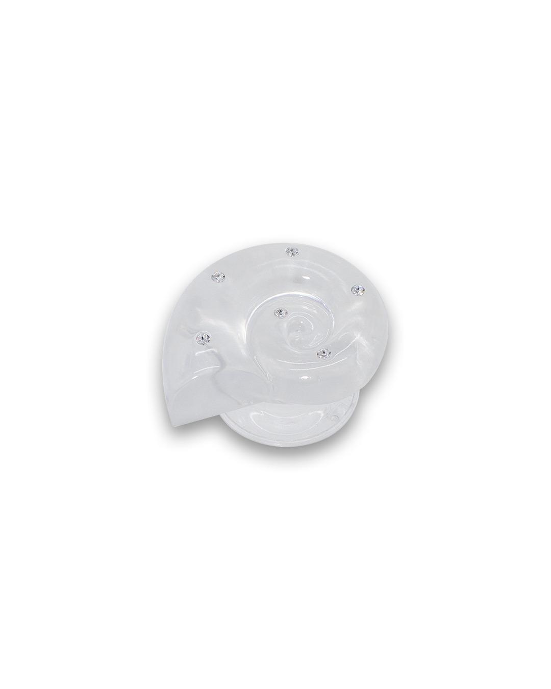 Ammonite Tok_ Clear