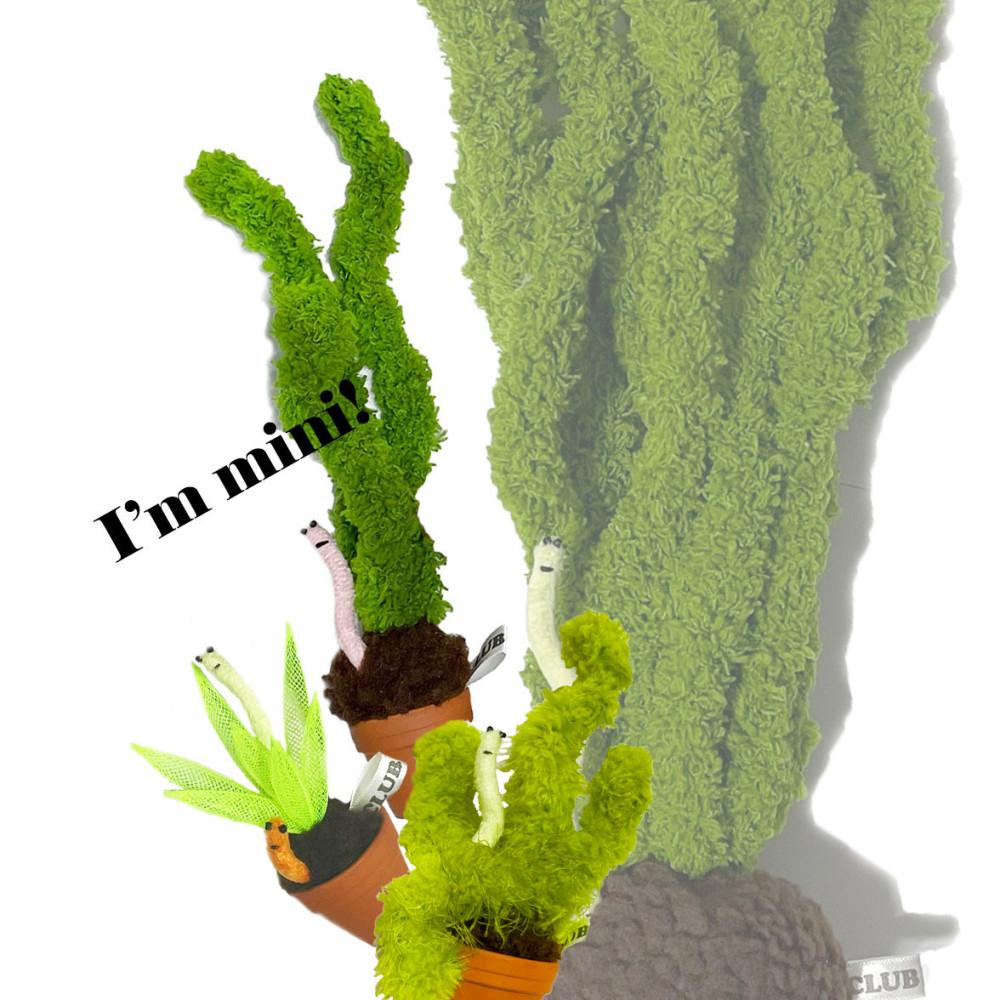 I'm mini + Pot [미니어쳐 화분]