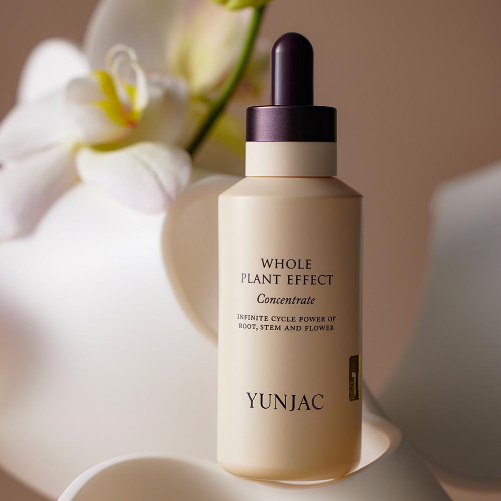 [연작] 전초 컨센트레이트 75ml, 1개