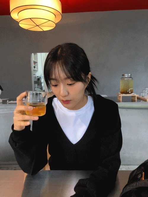 로이 딥 브이넥 후드티