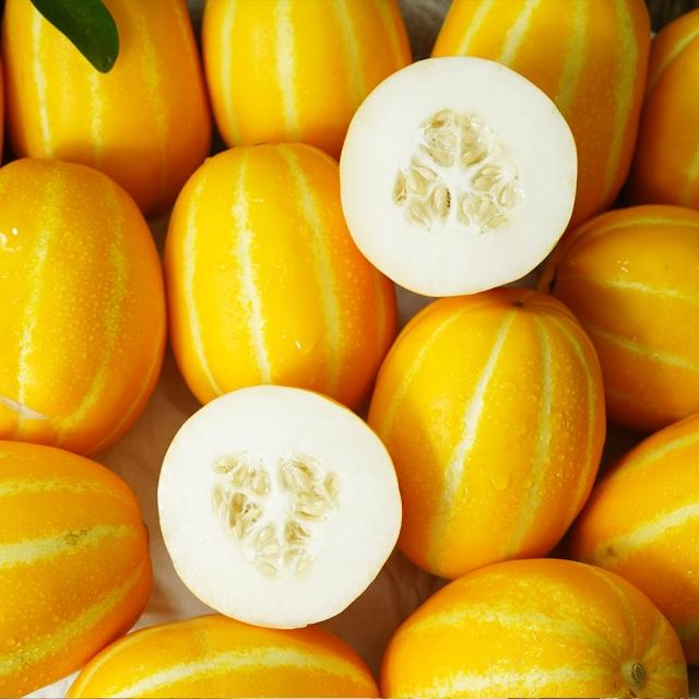 (시즌오프 특가) 고당도 성주 꿀참외 10kg