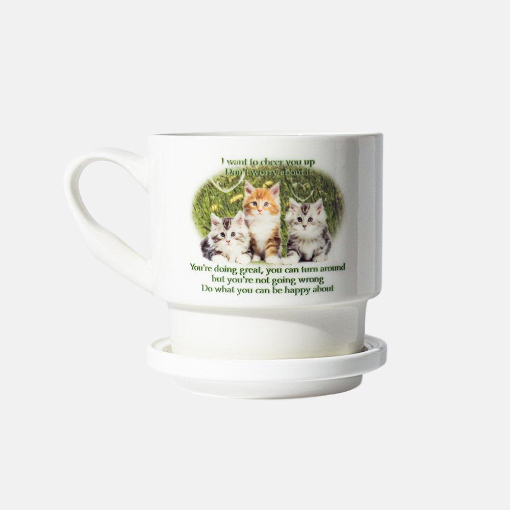 Little Friend's Comfort Series Mugs - GREEN