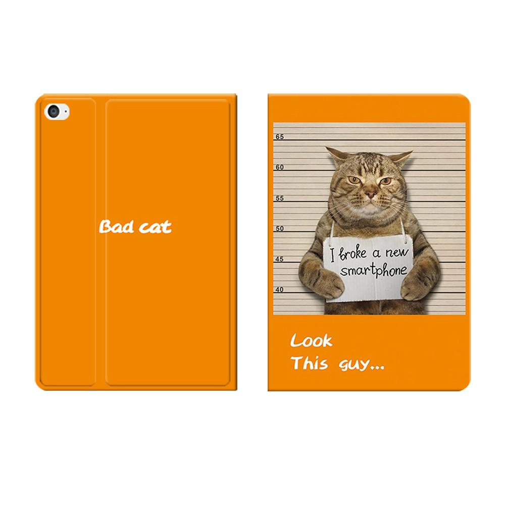 아이패드 나쁜고양이 양면 하드 투명 아이패드케이스
