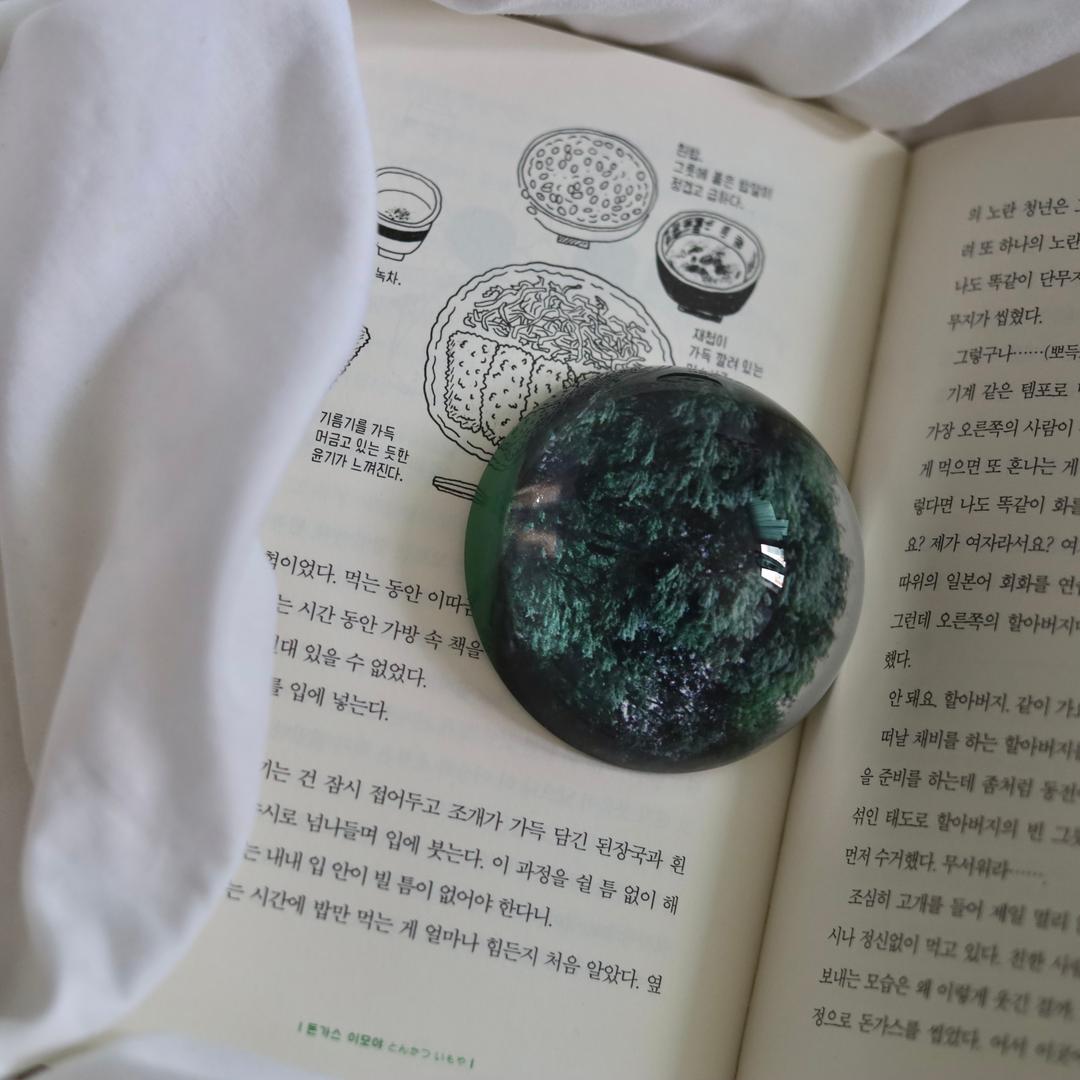 문진 : 숲 [forest]