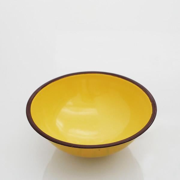 Enamel Color Bowl - 2 Color