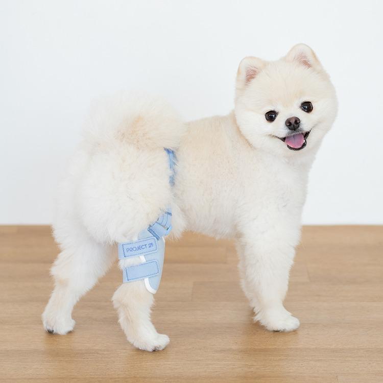 프로젝트21 밸런스핏 강아지 관절 슬개골 보호대