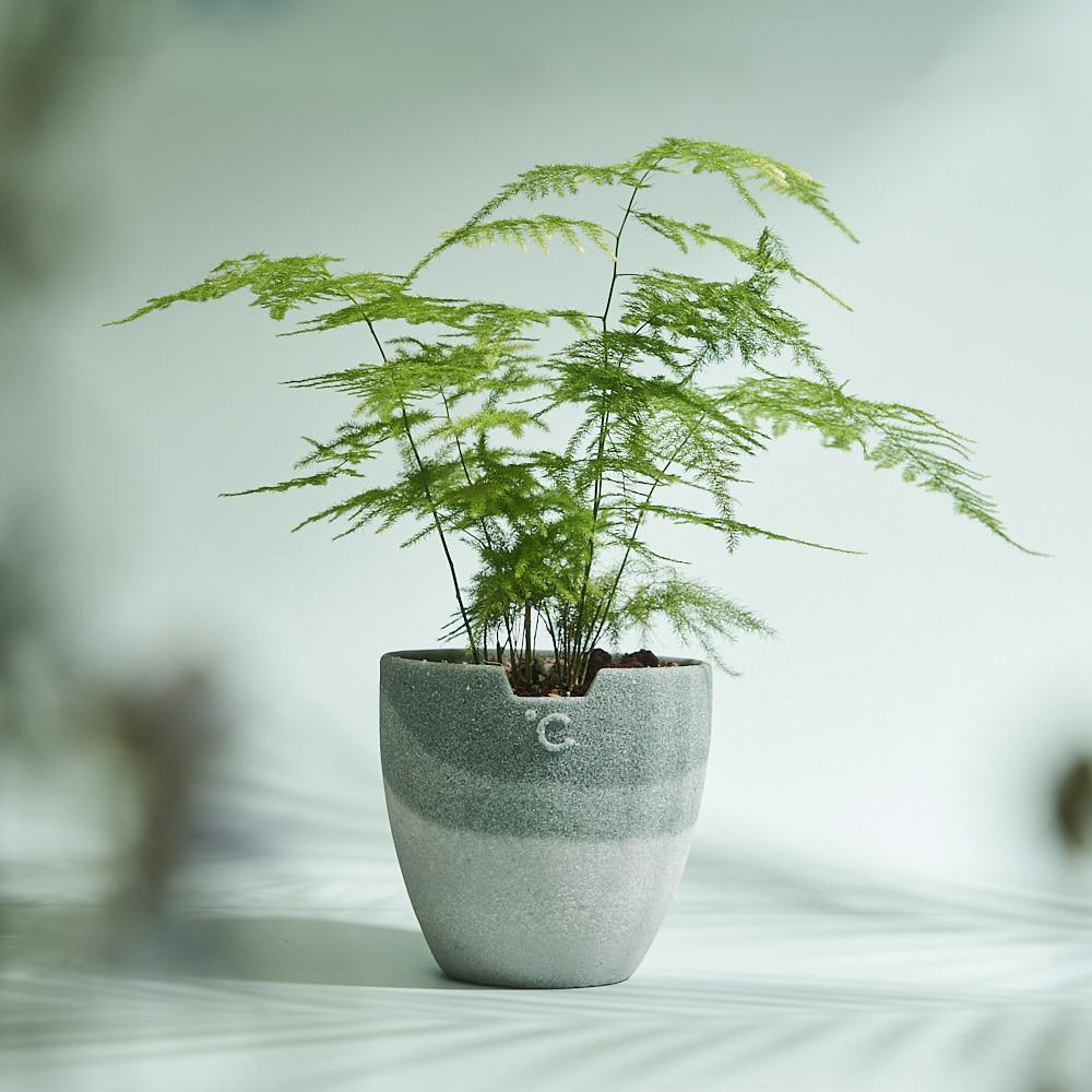 오아시스 팟-EP.01