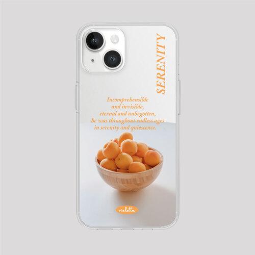 아프리콧살구 투명젤리 케이스