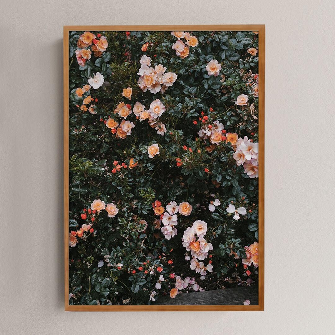 Elisabeth Dunker - Roses