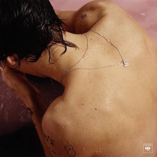 harry styles 해리 스타일스 lp - 솔로데뷔 vinyl