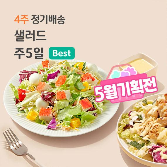 4주 정기배송 샐러드 주 5일