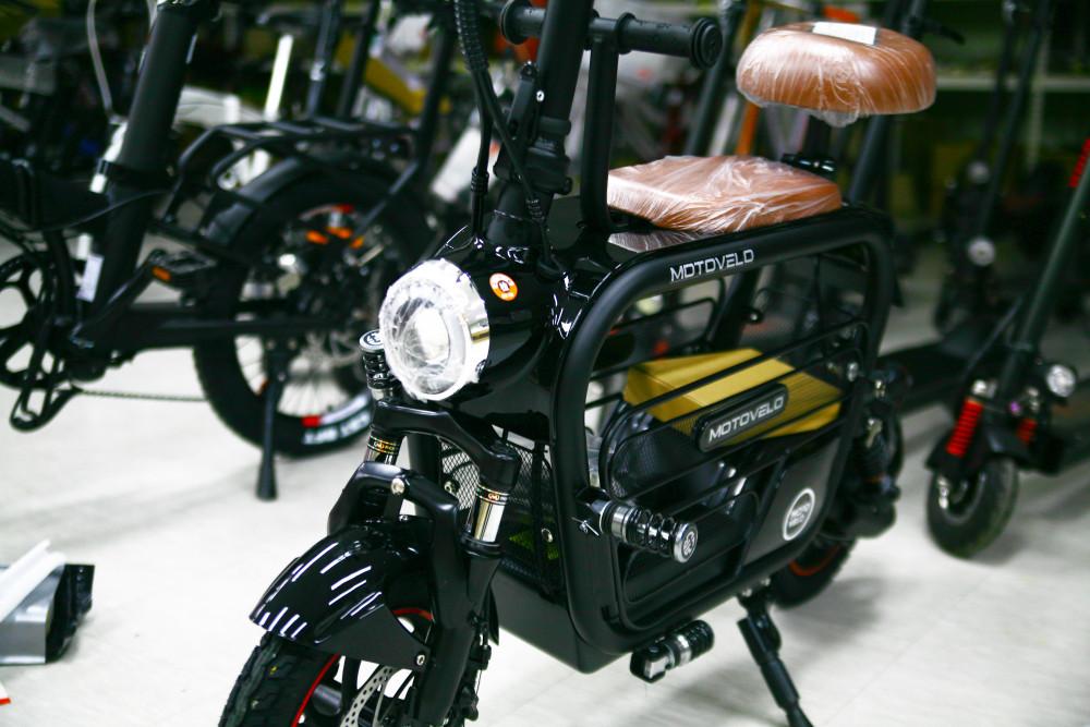 모토벨로 AKU 전동스쿠터 15ah, 애완견, 반려동물, 2인용 스쿠터