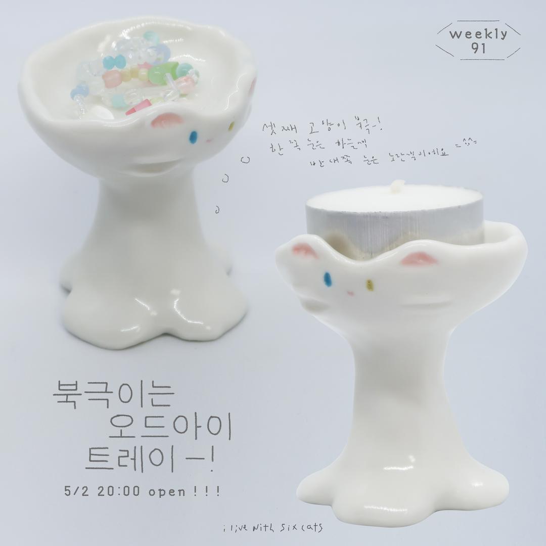 북극이는 오드아이 트레이-!