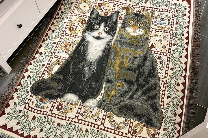[해외] 고양이 캣츠C 쇼파커버 담요 월행잉 블랭킷