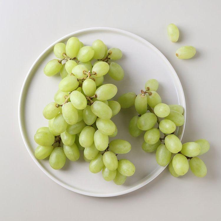 씨없는 청포도(칠레) 600G(팩)