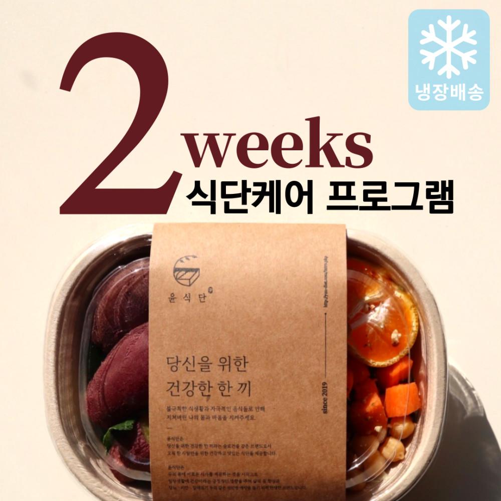 [윤식단] 샐러드 정기 배달 - 1일 1식 10일 프로그램 (2주)