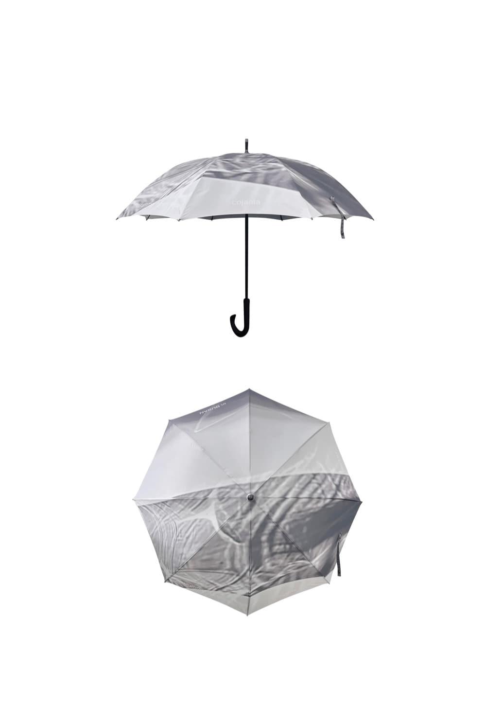 [COJANTA]umbrella_ evening(light)