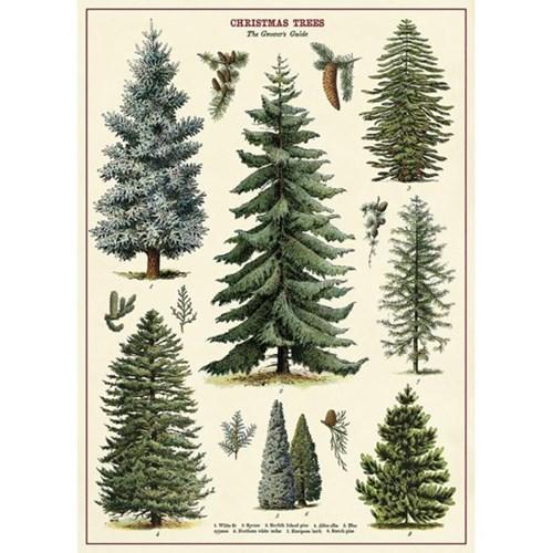 카발리니 포스터-Christmas Trees