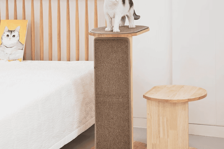 캣타워 소파 하임미니플러스 하드우드 고무나무 colors