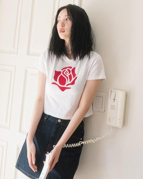 VELVET ROSE CROP S/S TEE(WHITE)