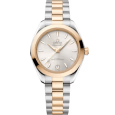 씨마스터 아쿠아 테라 150M 30 mm, 스틸 - 문샤인™ 골드 및 스틸 - 문샤인™ 골드 - 220.20.30.20.02.001