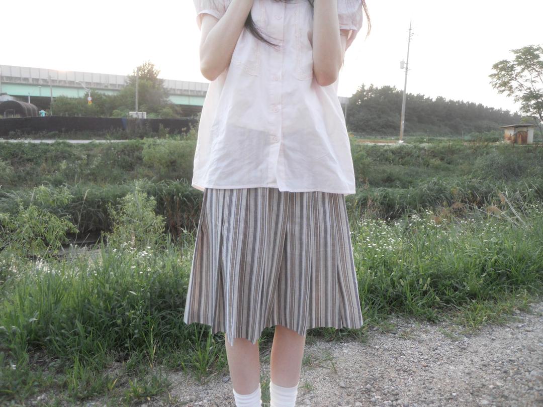 bold stripe skirt