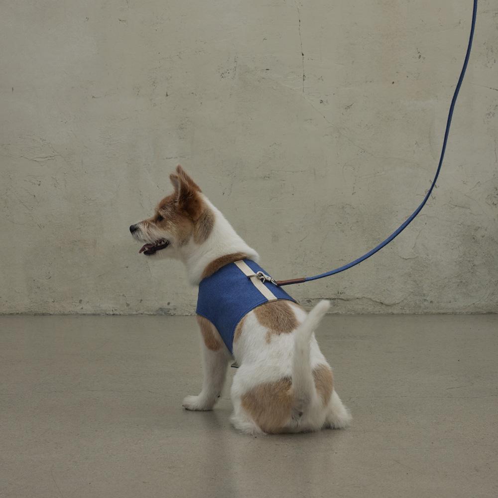 WALK JACKET BLUE