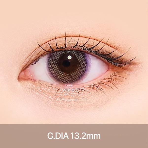 에일린 [ 바이올렛 ] 1개월용