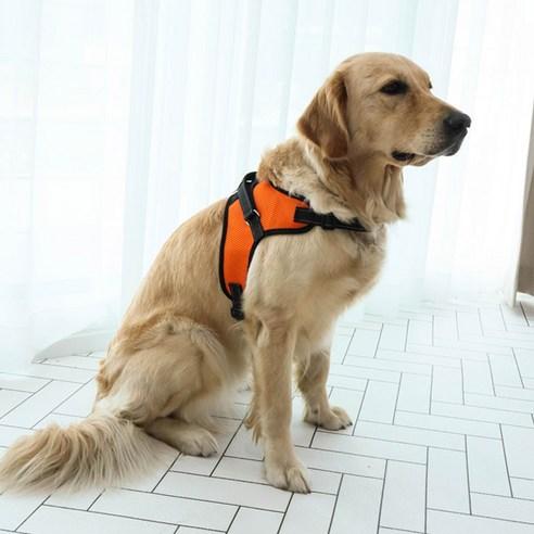딩동펫 강아지 메쉬 기본형 하네스, 오렌지, XXL